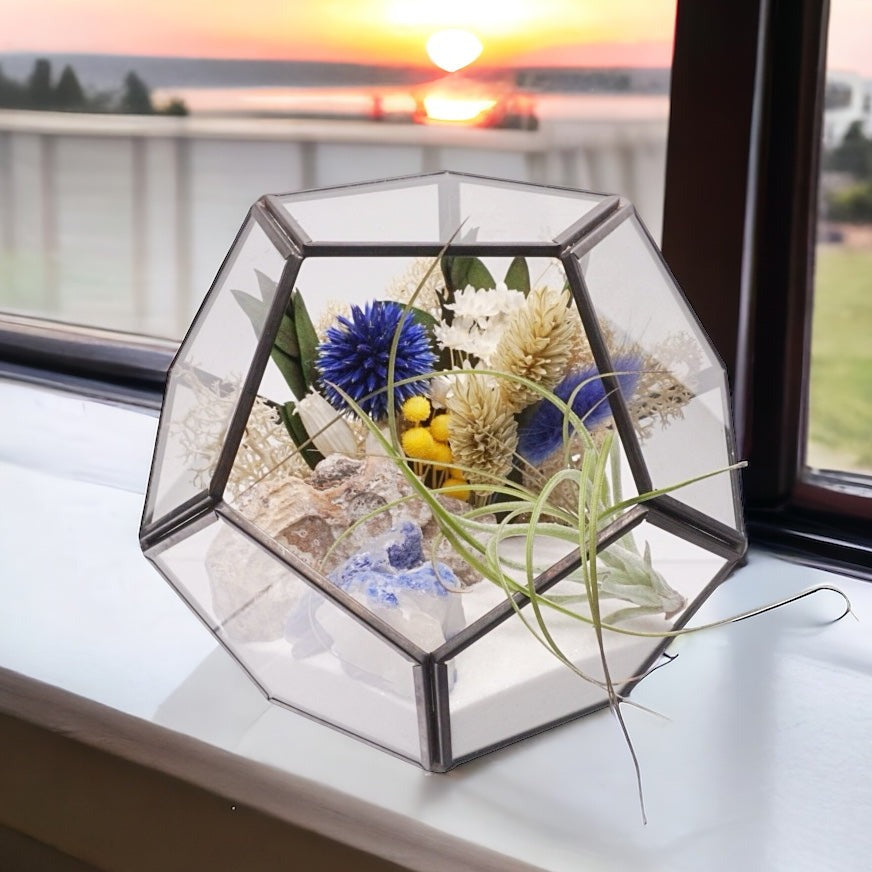 Black-rimmed glass geometric terrarium with an airplant, blue coloured dried flowers, sand, moss, wood and a blue quartz crystal
