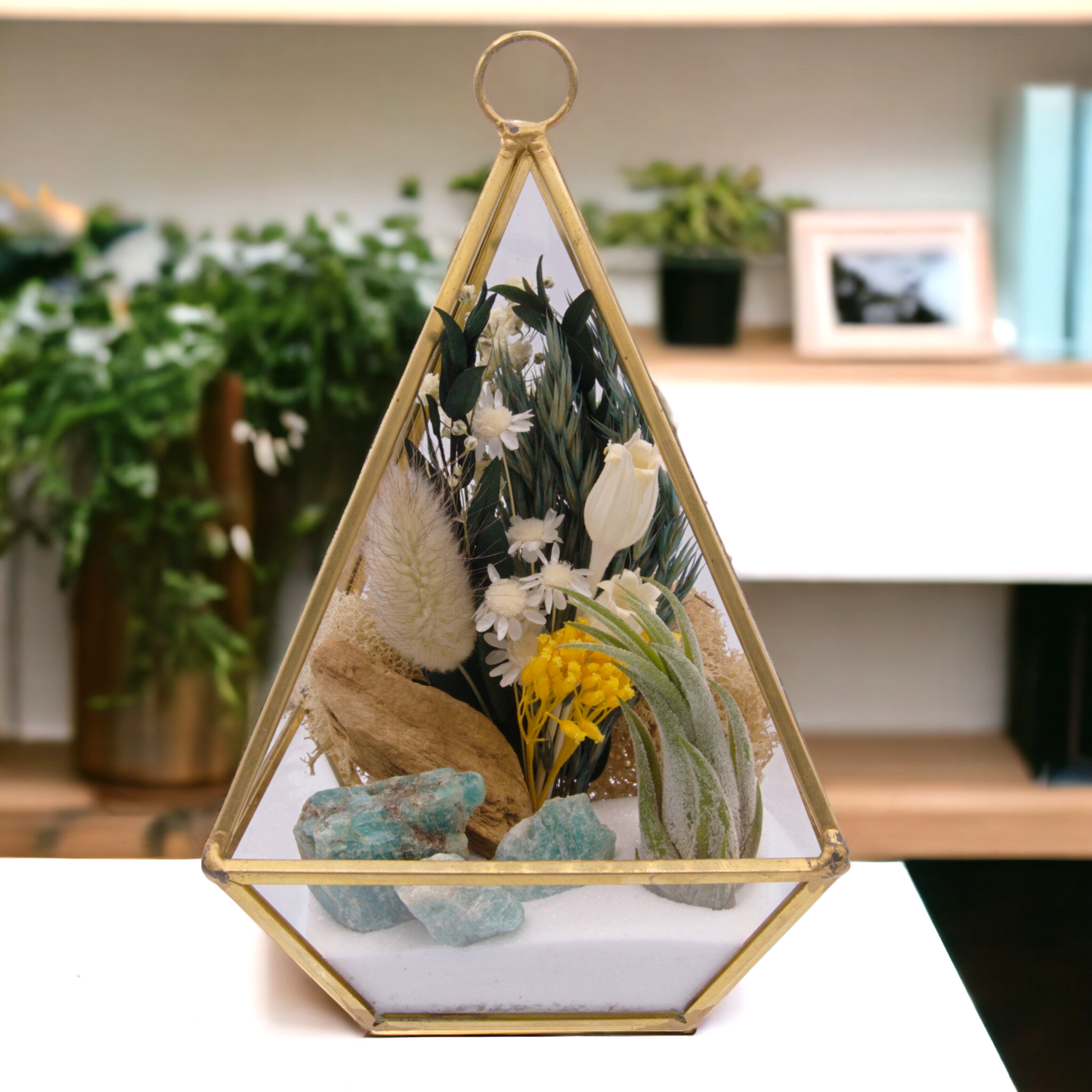 Victorian gold airplant terrarium with sand, dried flowers, moss, wood and amazonite crystals