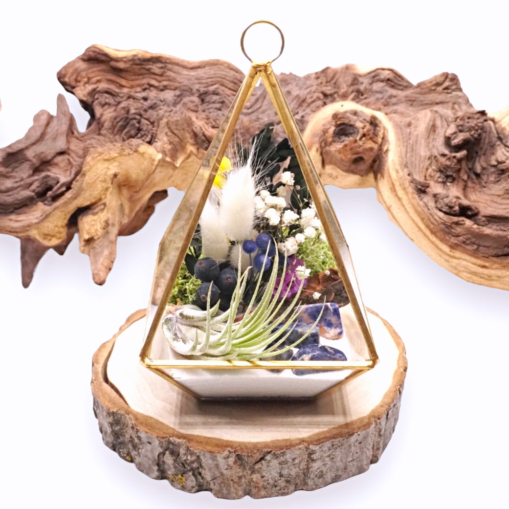 Terrarium Victorien - Sodalite bleu