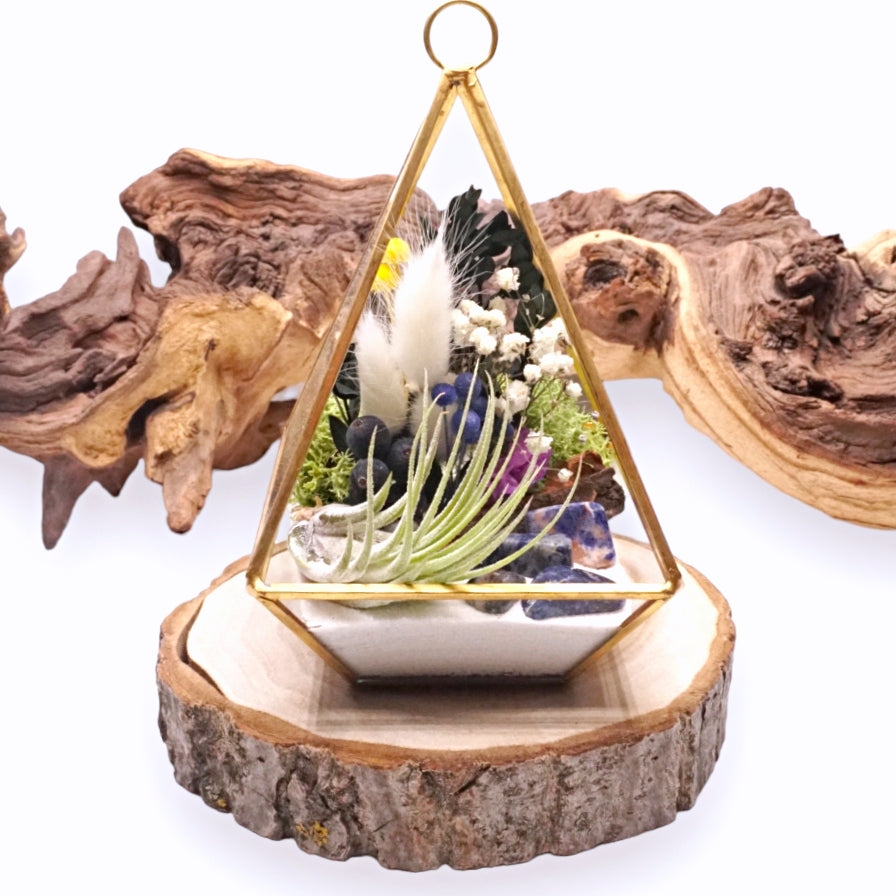 Terrarium Victorien - Sodalite bleu