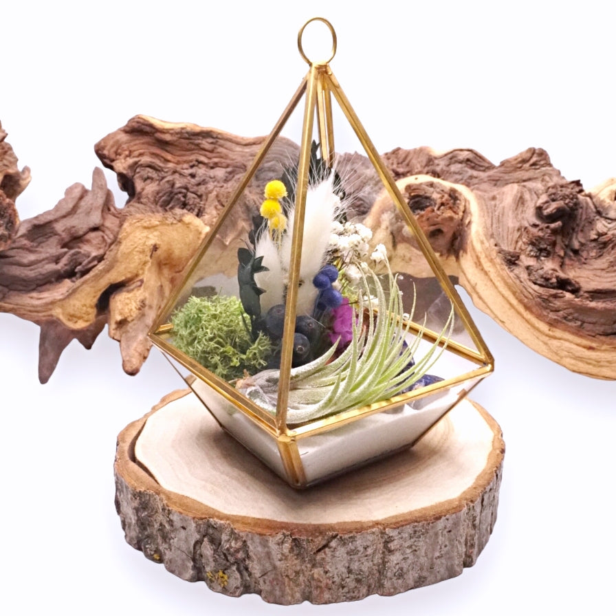 Terrarium Victorien - Sodalite bleu
