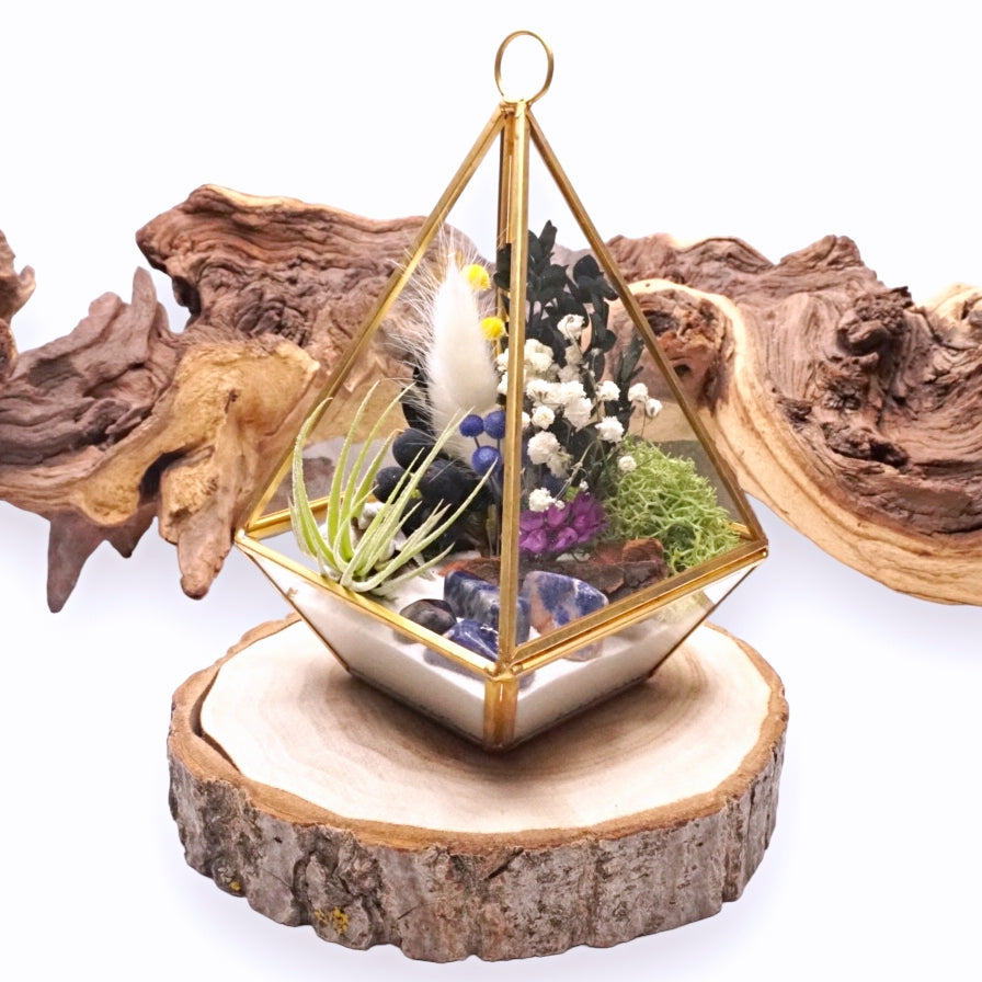 Terrarium Victorien - Sodalite bleu
