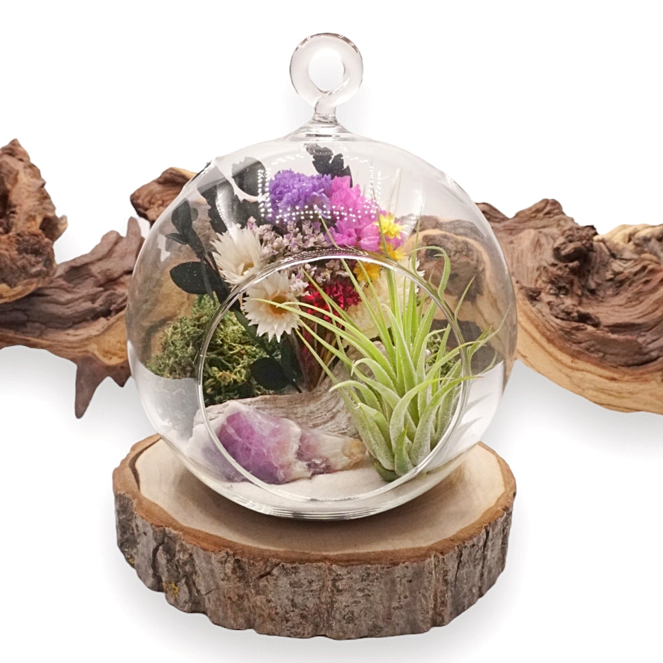 Bubble Airplant Terrarium - Chevron Amethyst