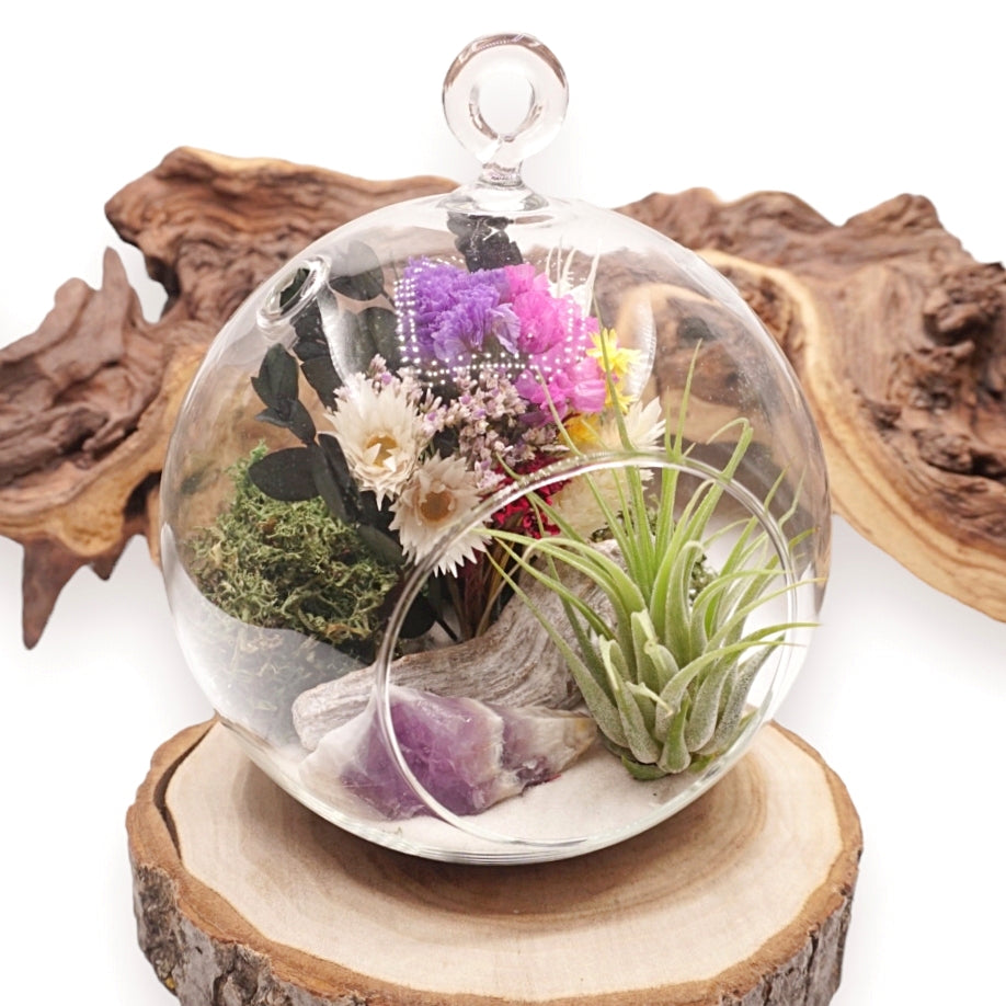 Bubble Airplant Terrarium - Chevron Amethyst