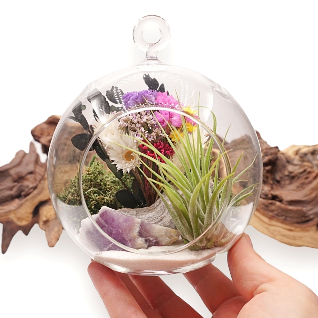 Bubble Airplant Terrarium - Chevron Amethyst