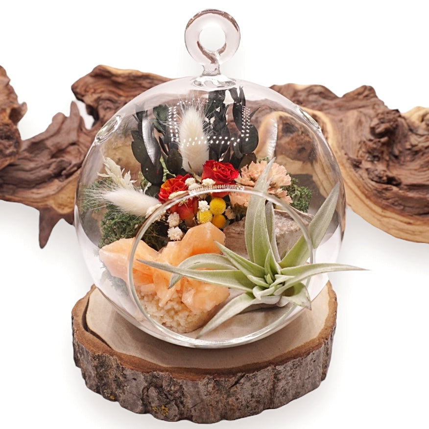 Bubble Airplant Terrarium - Stilbite Rose