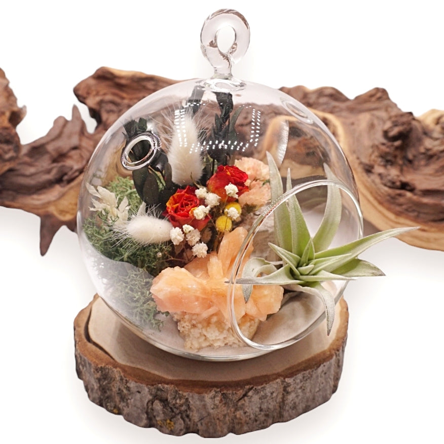 Bubble Airplant Terrarium - Stilbite Rose