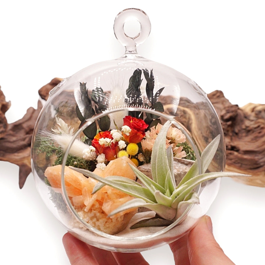 Bubble Airplant Terrarium - Stilbite Rose