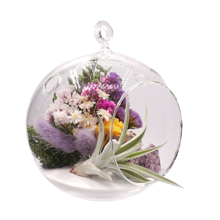 Terrarium à bulle avec une plante aérienne et un cristal de lepidolite