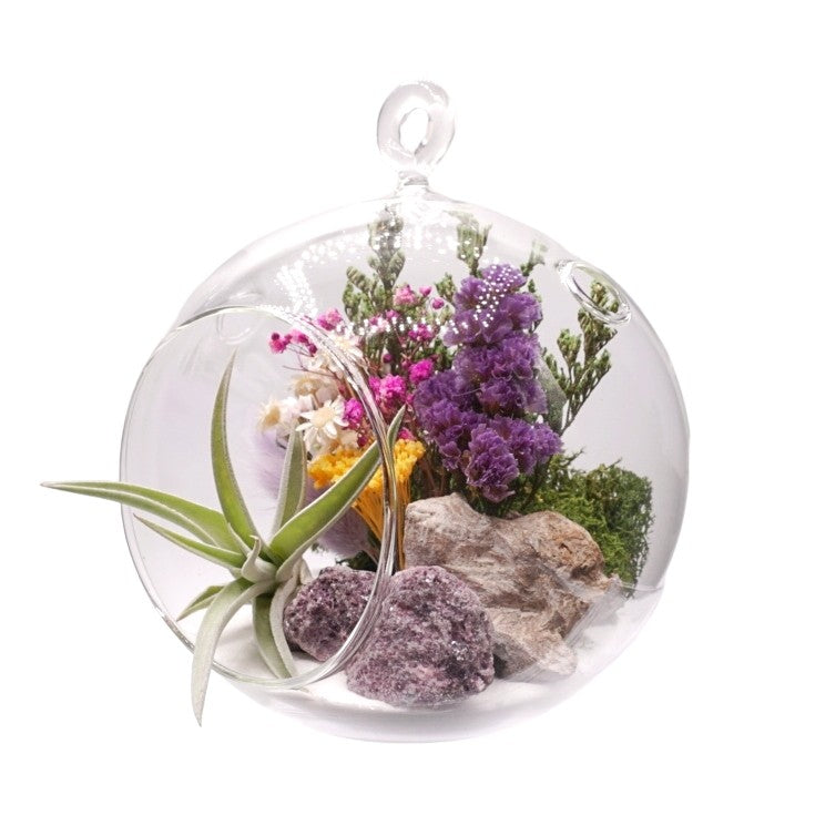 Terrarium à bulle avec une plante aérienne et un cristal de lepidolite