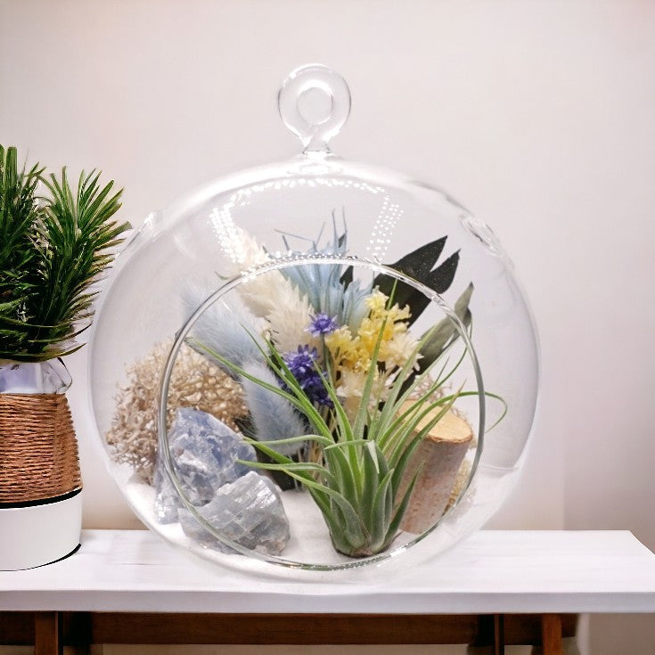 Bubble Airplant Terrarium Medium - Blue Calcite