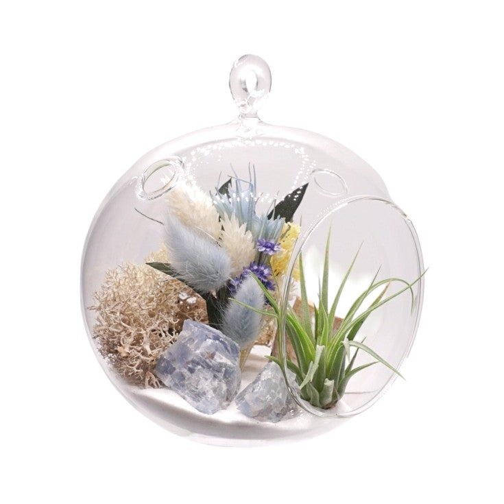Bubble Airplant Terrarium Medium - Blue Calcite