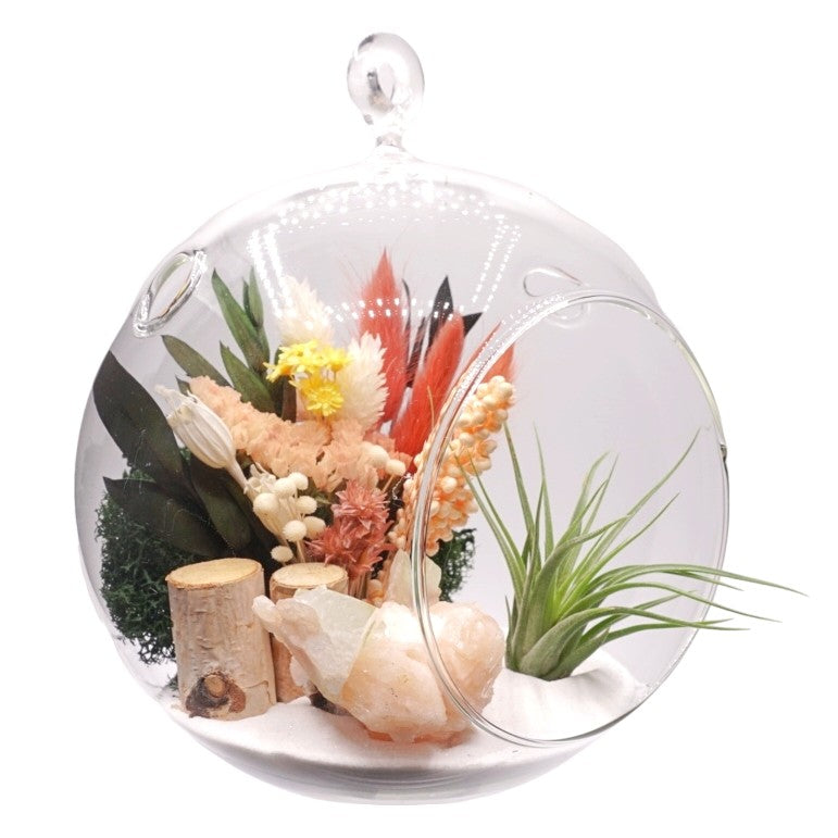 Bubble Airplant Terrarium Large with Stilbite Crystal