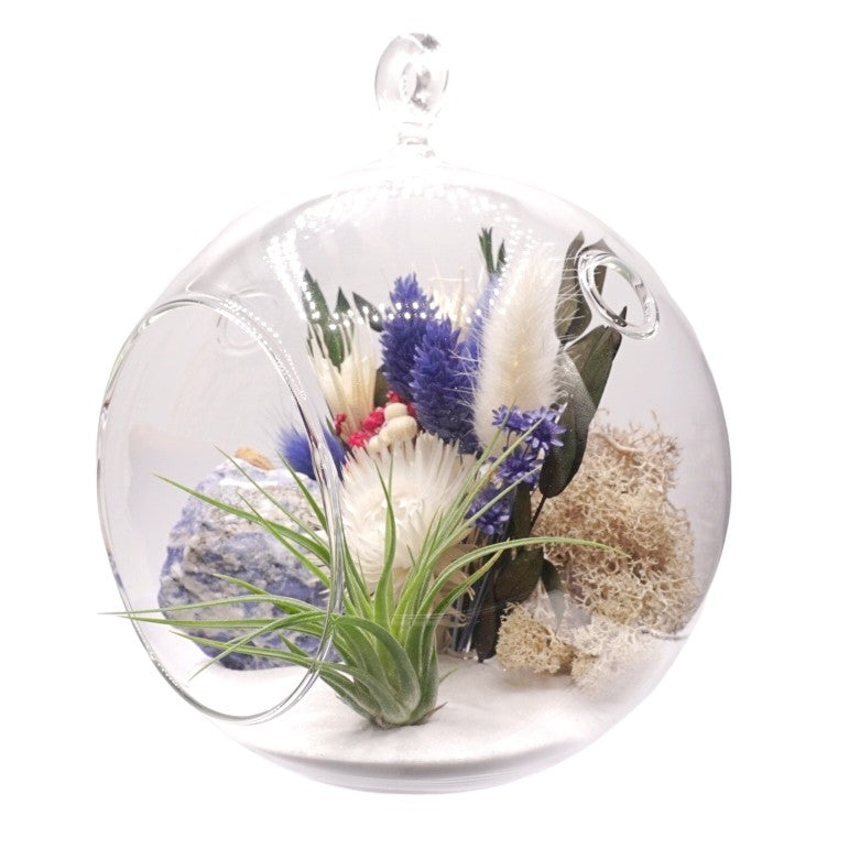 Bubble Airplant Terrarium Large with Sodalite stone