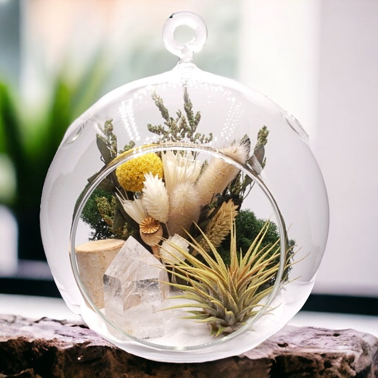 Bubble Airplant Terrarium Large with crystal quartz tower