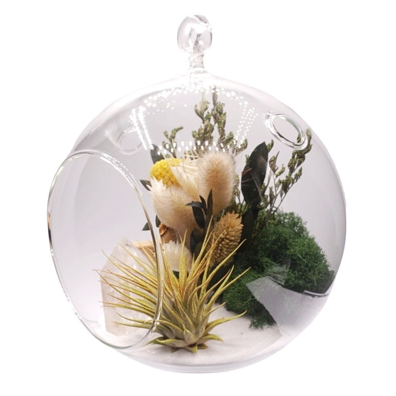 Bubble Airplant Terrarium Large with crystal quartz tower