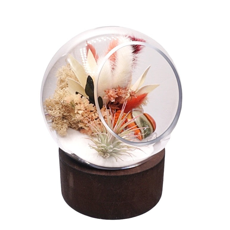 Terrarium à bulle grande pour plante aérienne avec base en bois et cœur de jaspe
