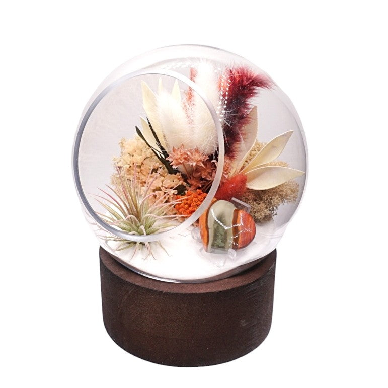 Terrarium à bulle grande pour plante aérienne avec base en bois et cœur de jaspe