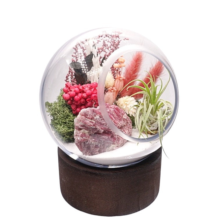 Bubble Airplant Terrarium Large with base - Pink Tourmaline