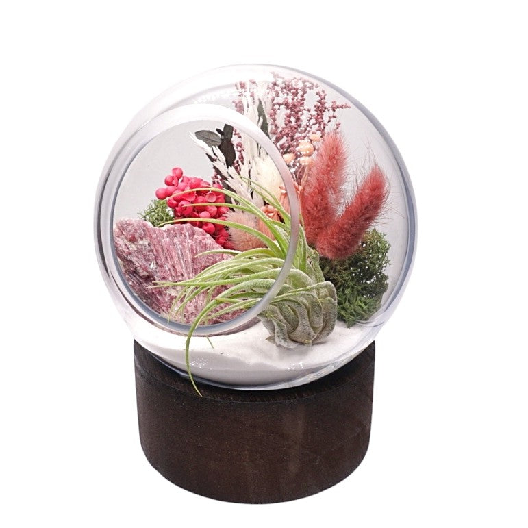 Bubble Airplant Terrarium Large with base - Pink Tourmaline