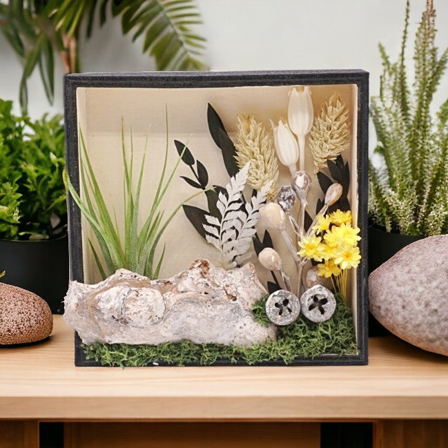 Airplant Art Frames - A walk in the woods (square)