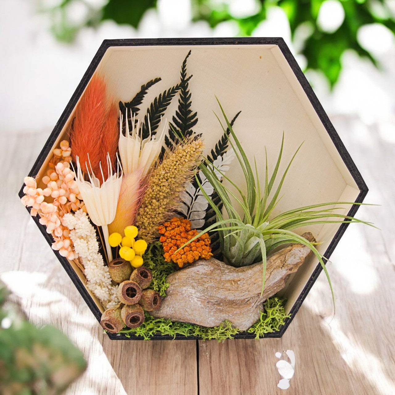 Airplant Art Frames - Hexagon Coral Flowers