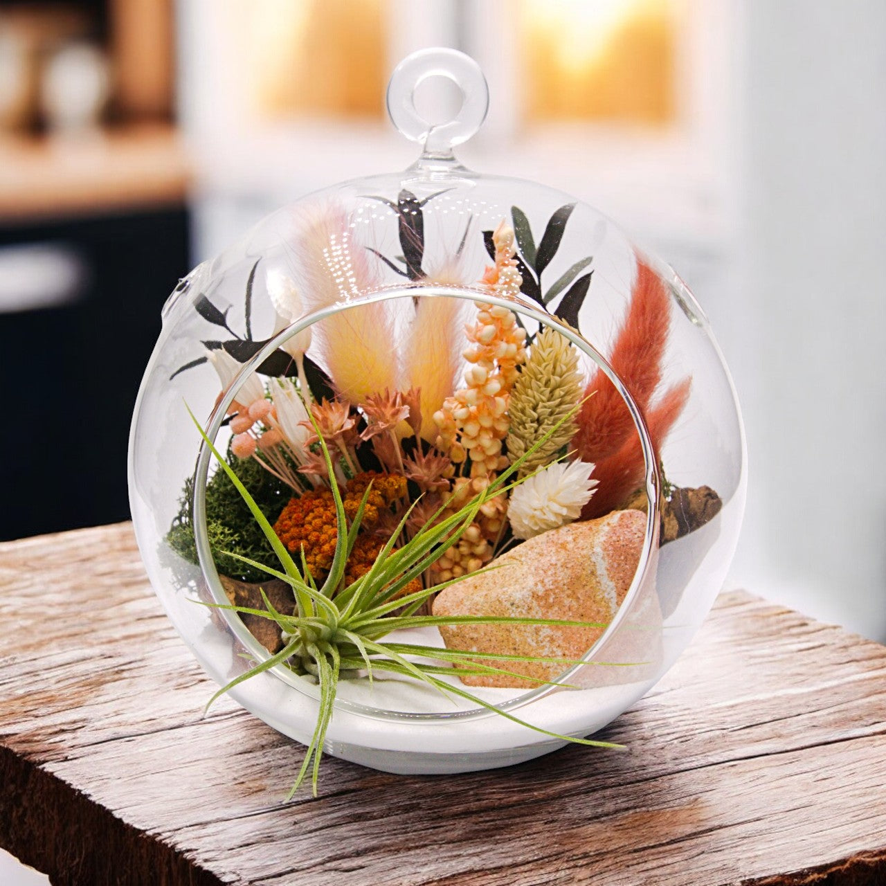 Terrarium à bulle avec une plante aérienne et grès paysage