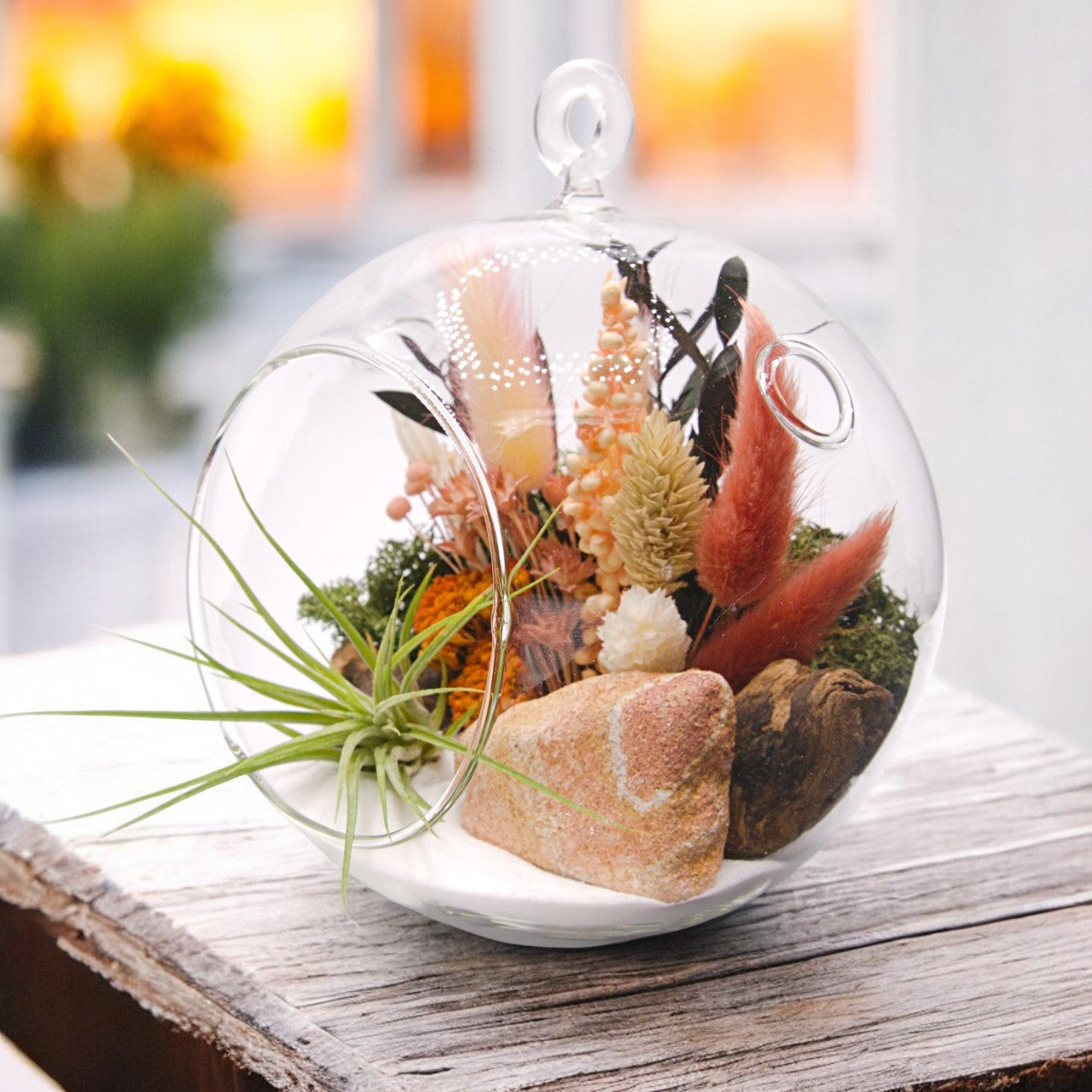 Terrarium à bulle avec une plante aérienne et grès paysage