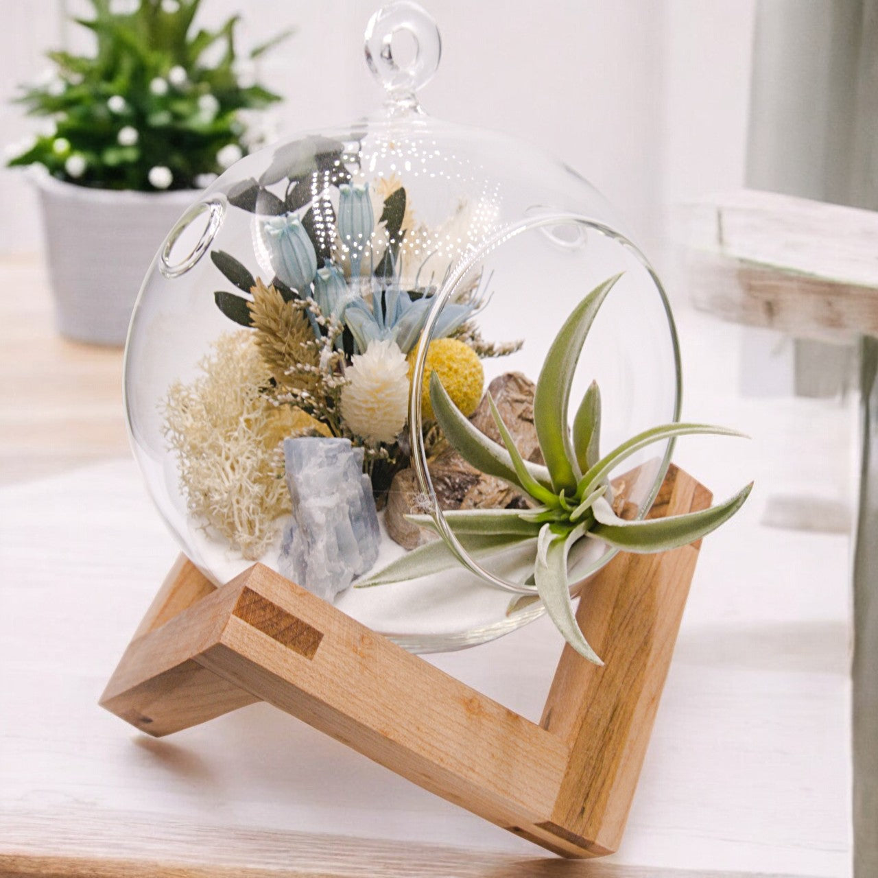 Bubble Airplant Terrarium Medium - Blue Calcite