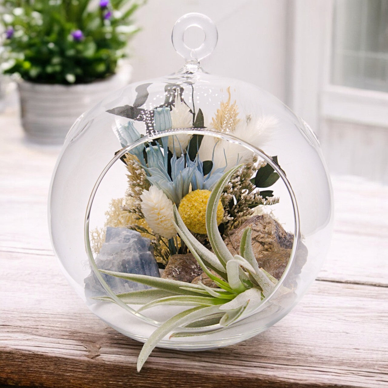 Bubble Airplant Terrarium Medium - Blue Calcite