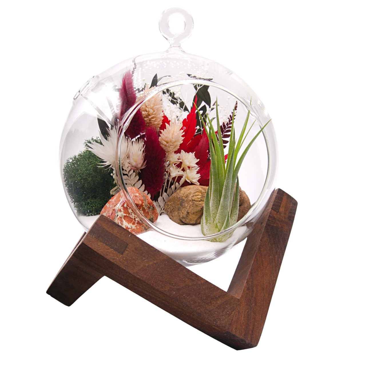Terrarium à bulle avec une plante aérienne et une pierre de jaspe