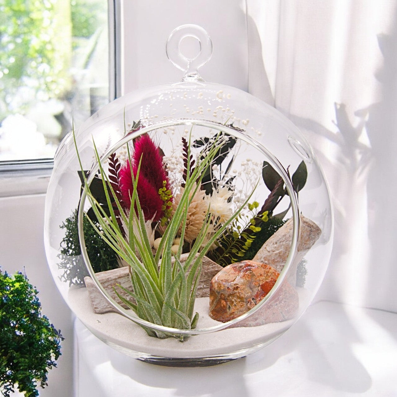 Terrarium à bulle avec une plante aérienne et une pierre de jaspe