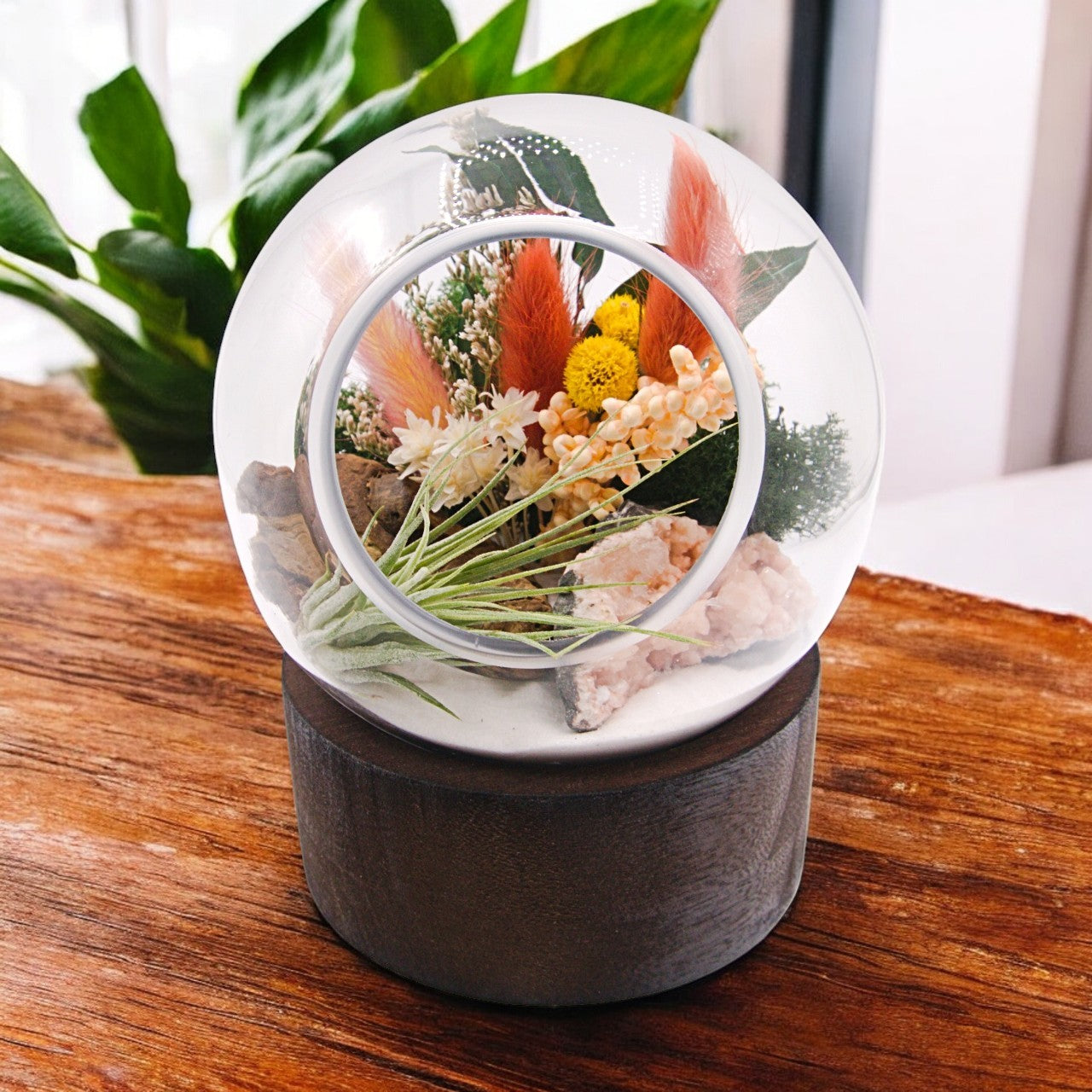 Terrarium à bulle moyen avec base en bois et cristal de heulandite