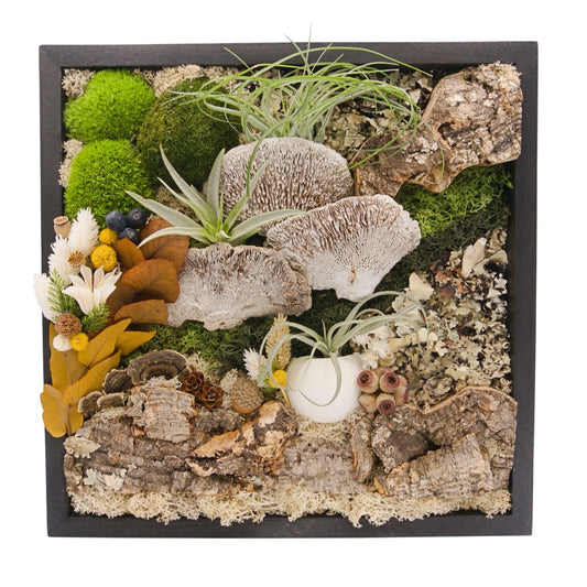 Airplant Moss & Floral Landscape Frame - Extra Large