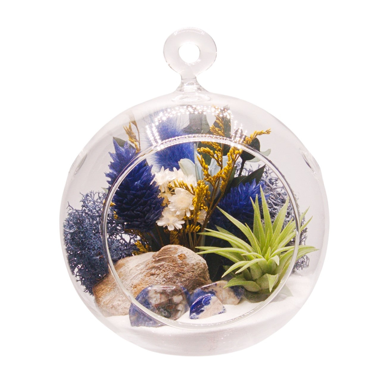 Terrarium à bulles de plante aérienne petit - bleu