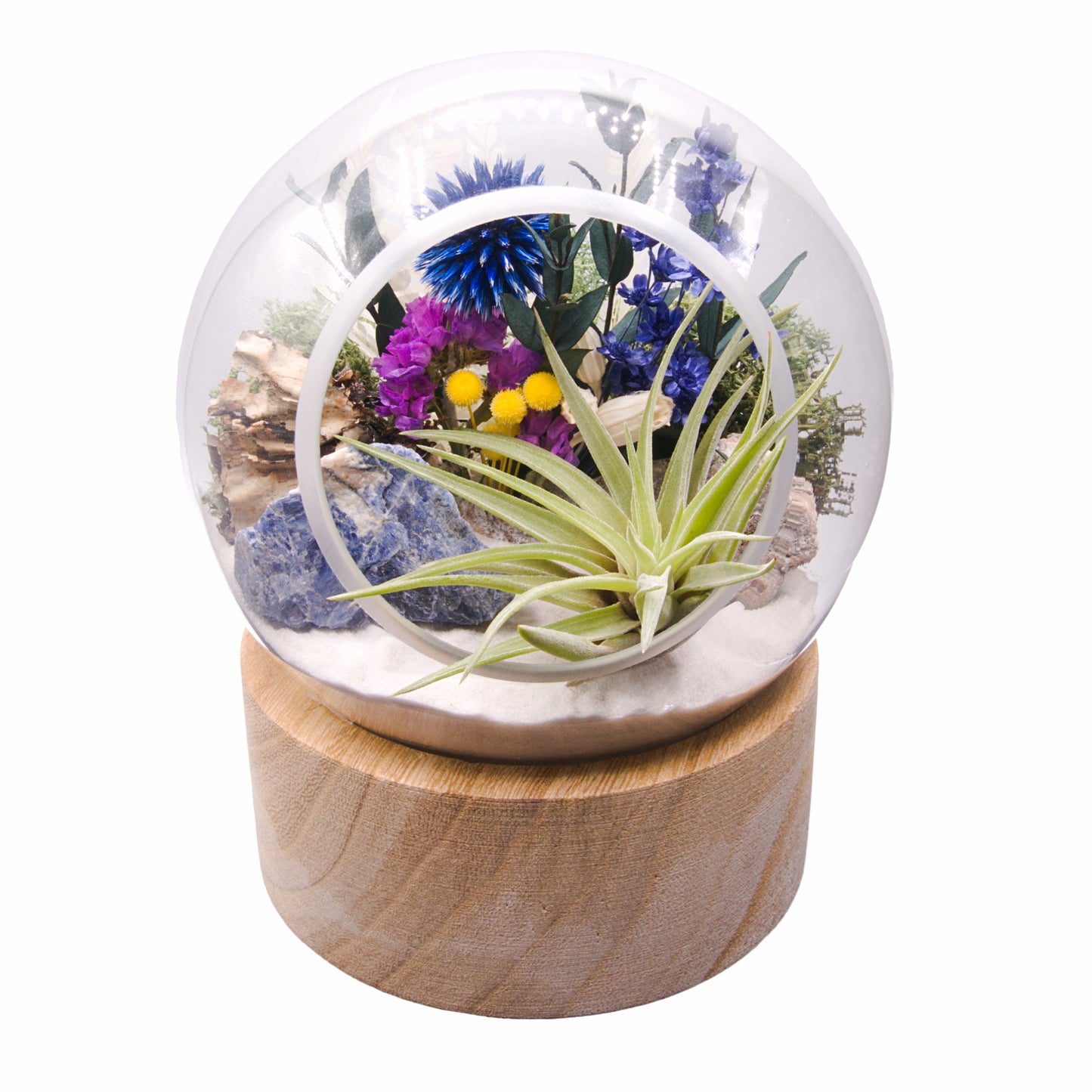 Terrarium à bulle - Sodalite Brute