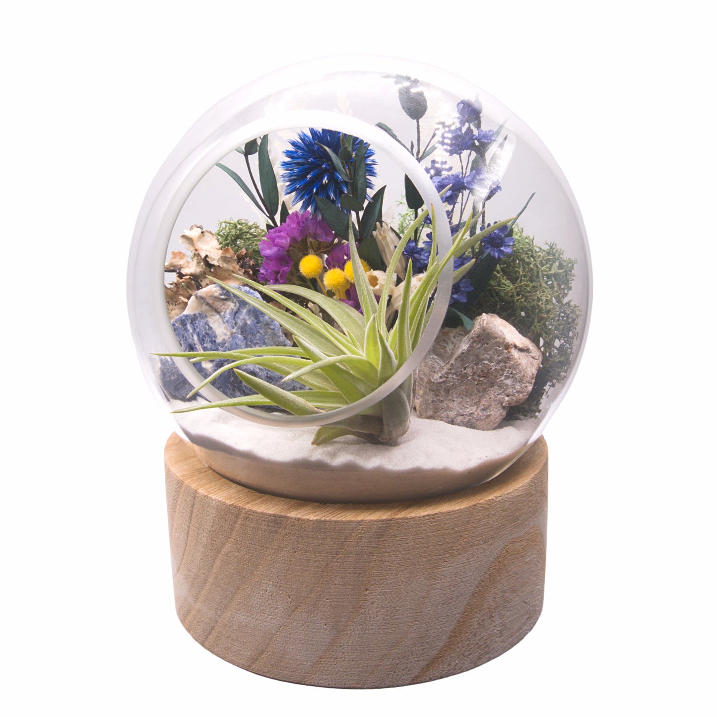 Terrarium à bulle - Sodalite Brute