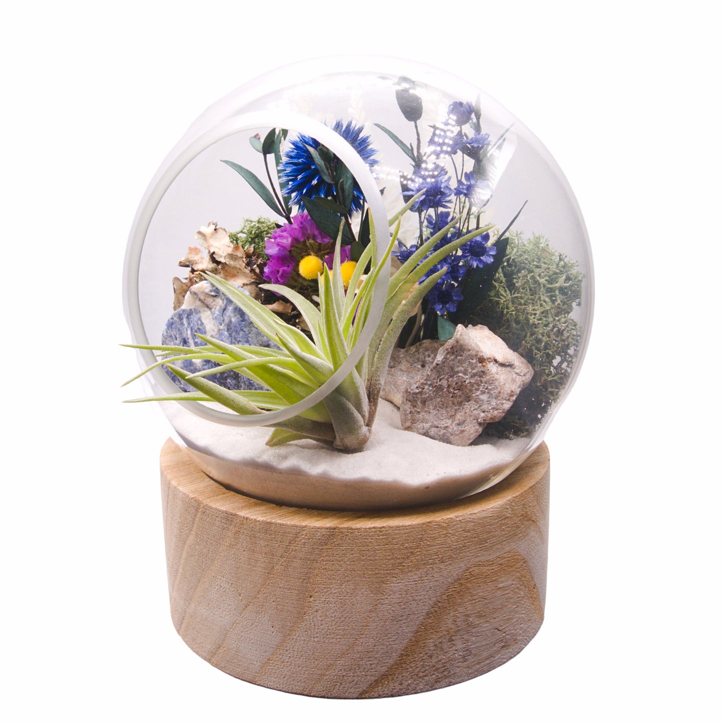 Terrarium à bulle - Sodalite Brute