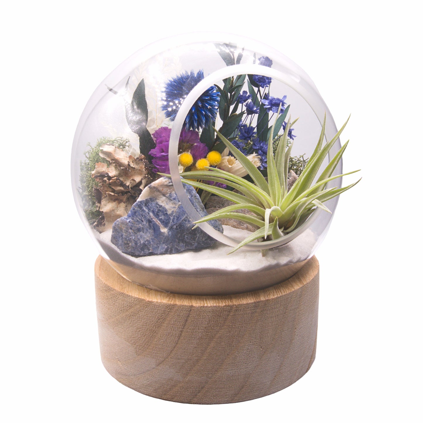 Terrarium à bulle - Sodalite Brute
