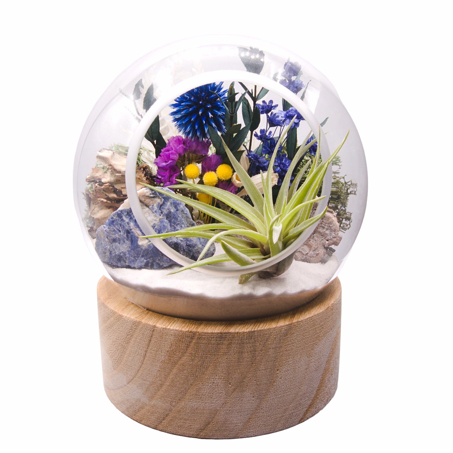Terrarium à bulle - Sodalite Brute