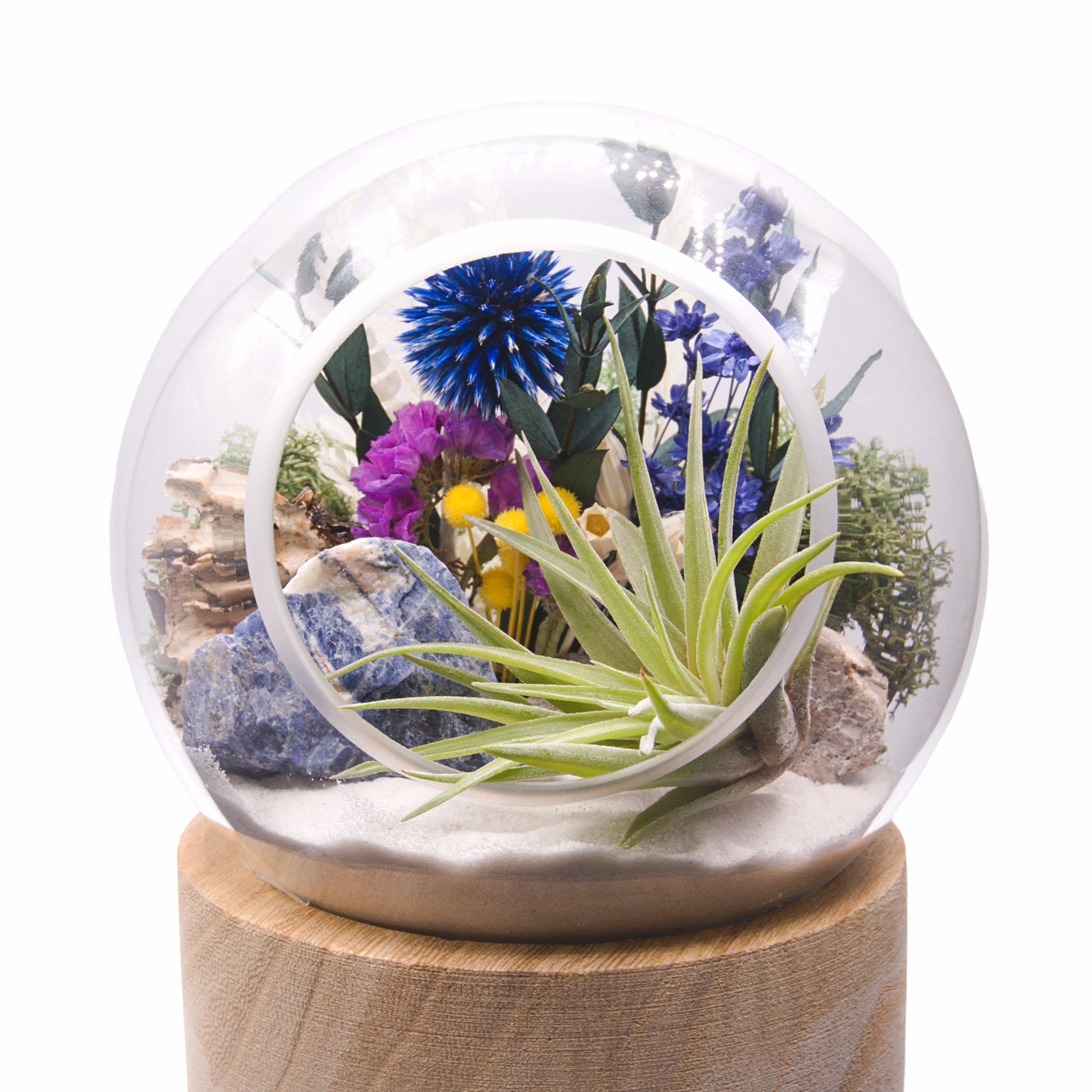 Terrarium à bulle - Sodalite Brute