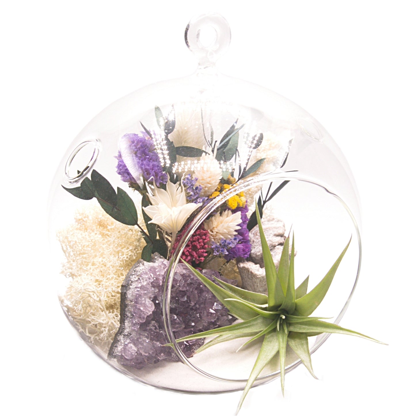 Airplant terrarium in a glass bubble vase with an amethyst crystal and dried flowers