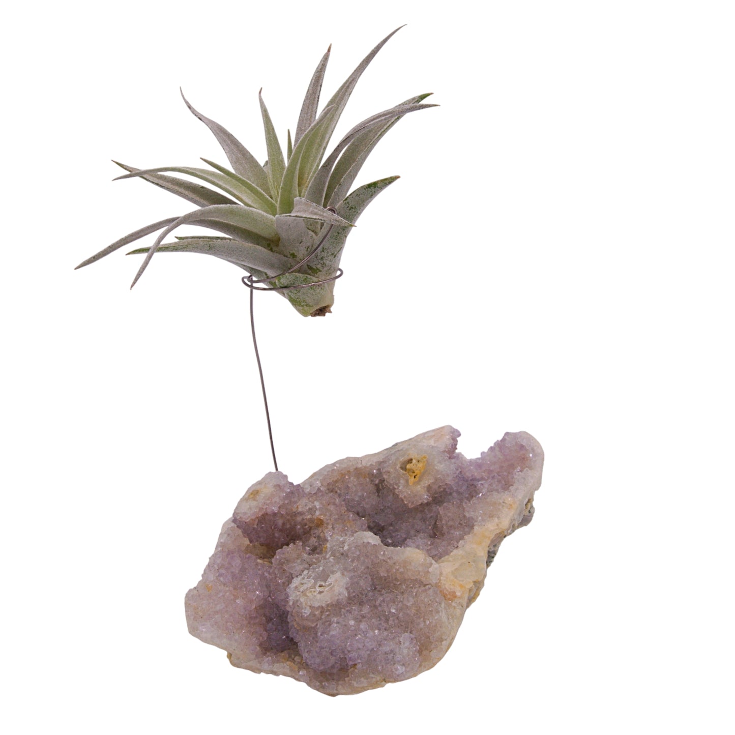 Chalcedony & Apophyllite Crystal Airplant Holder