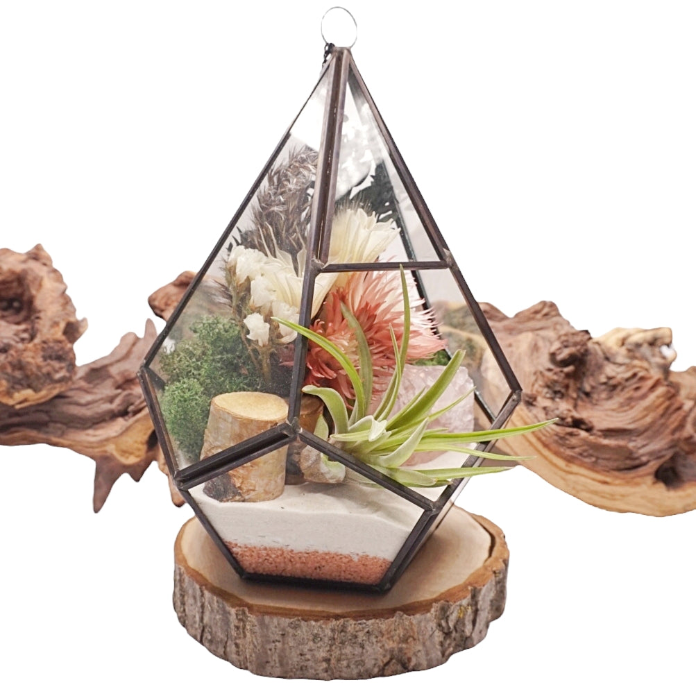 Grand terrarium victorien avec une plante aérienne et un cristal de rose quartz