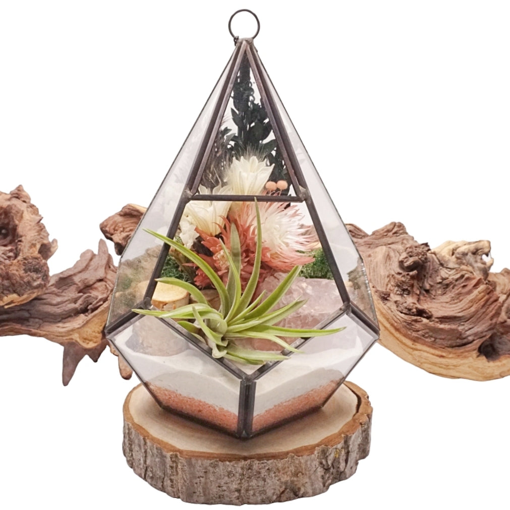 Grand terrarium victorien avec une plante aérienne et un cristal de rose quartz