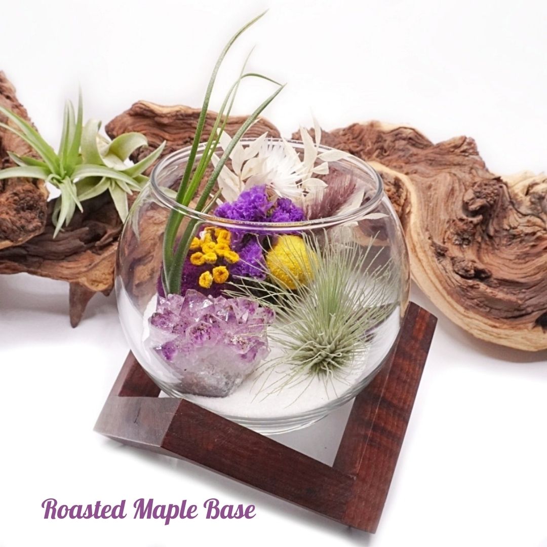 Wooden Displays - Large