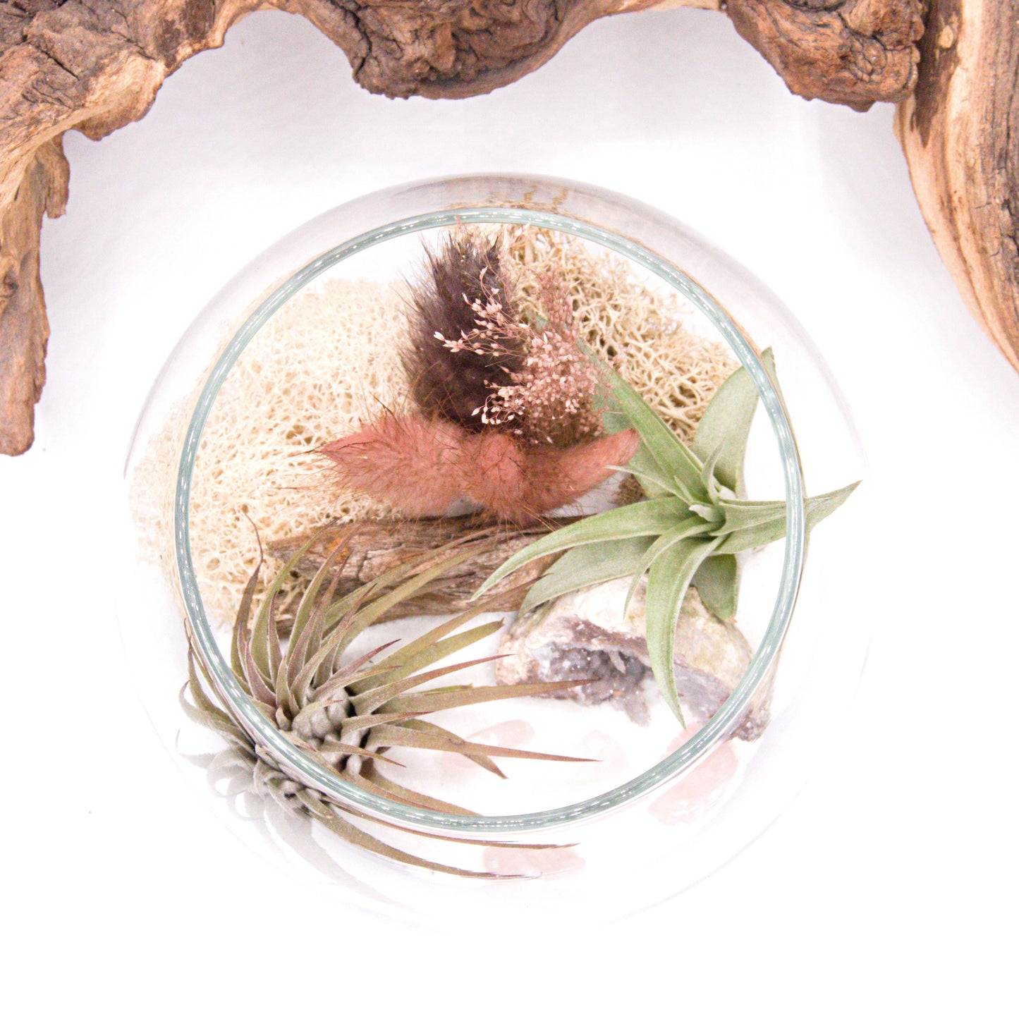 Terrarium à bol - Quartz rose-gris