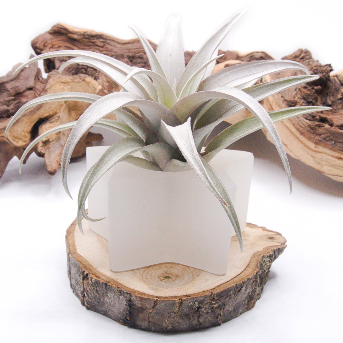 Selenite Star Tealight