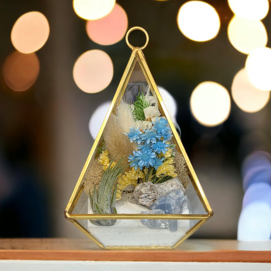 Victorian Airplant Terrarium - Blue Calcite Crystals