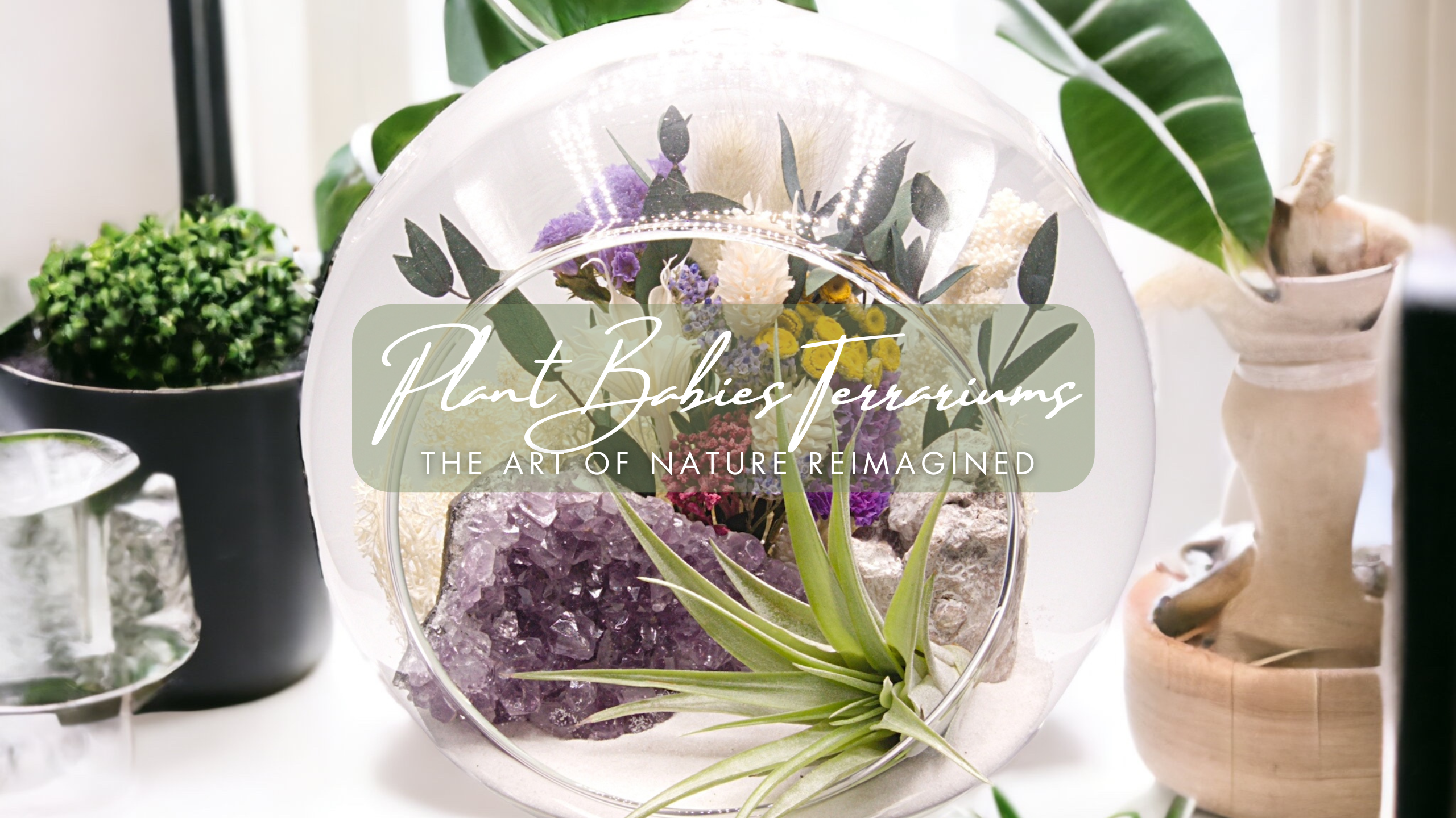 A glass bubble terrarium filled with dried flowers, amethyst crystal and a live air plant